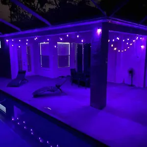 Hidden Gem In The Heart Of The City!! Holiday home Tampa